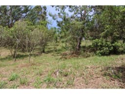 VENTA DE LOTE EN EL RETIRO VIA DON DIEGO LA CEJA