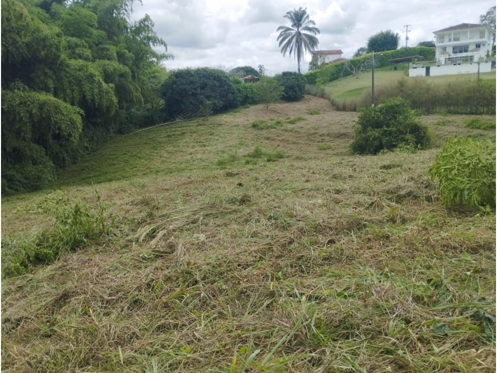 Lote en venta - Pereira - Sector Cerritos — foto 2