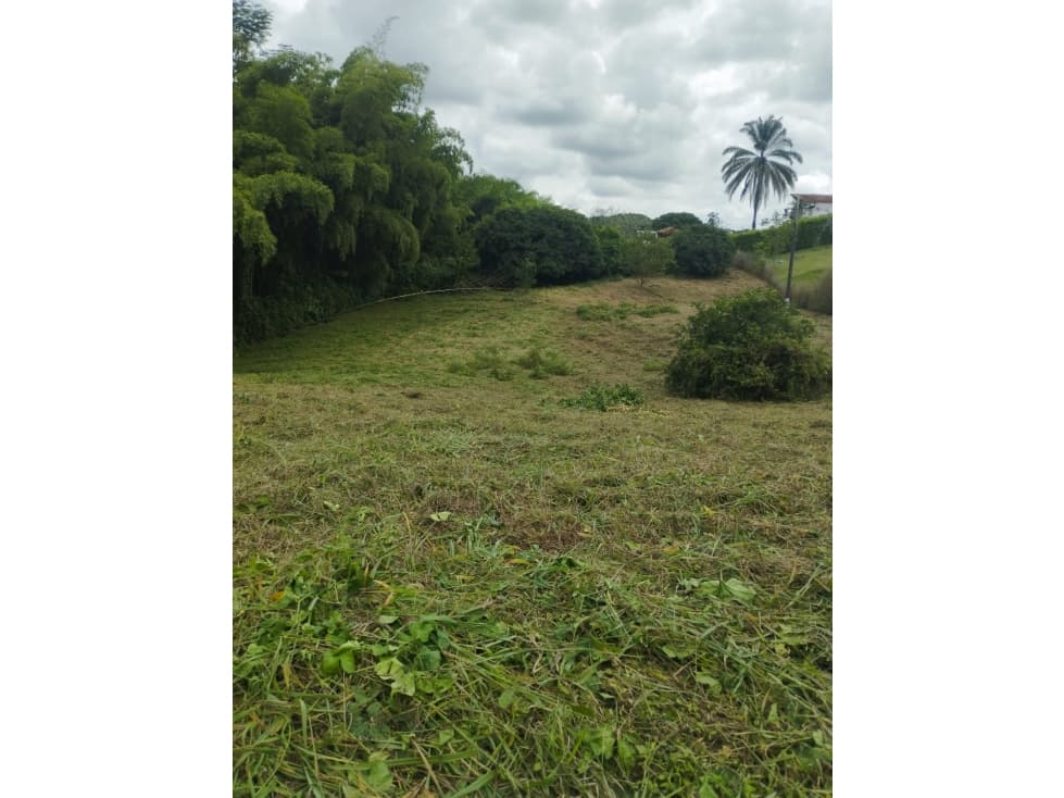 Lote en venta - Pereira - Sector Cerritos — foto 4