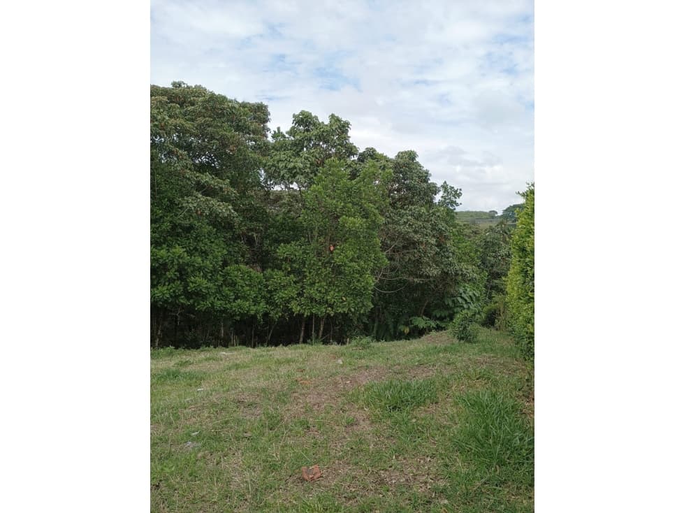 Lote Campestre El Tigre Pereira — foto 3