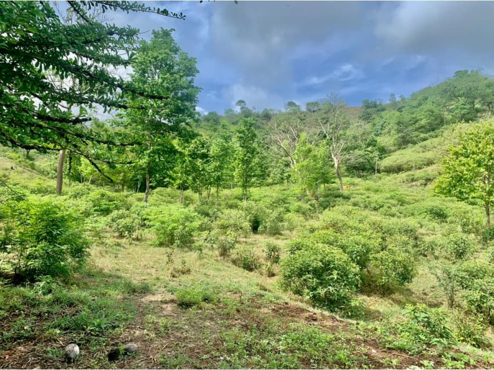 Lotes en venta en Sopetrán, Vereda Guaymaral — foto 2
