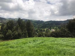 Lote en Venta en San Pedro de los Milagros Vereda La Pulgarina