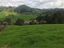 Lote en Venta en San Pedro de los Milagros Vereda La Pulgarina