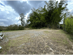 En venta lote independiente sector Gualanday - Llanogrande