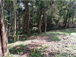 Lote en Venta Sector Llanogrande - Parcelación vía Don Diego