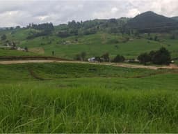 Lote en Venta en San Pedro de los Milagros Vereda La Pulgarina