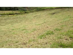 Lote en Venta en la Vereda La Pulgarina San Pedro de los Milagros
