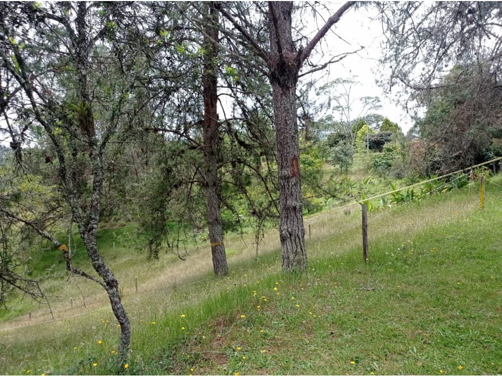 VENTA DE LOTE SECTOR PANTANILLO EL RETIRO — foto 4