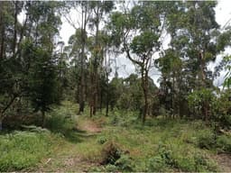 Venta de Lote en Pantanillo - Sector el Retiro desde 580.000.000