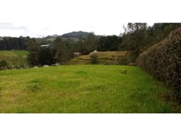 Lote en Venta en Envigado Sector Alto de las Palmas