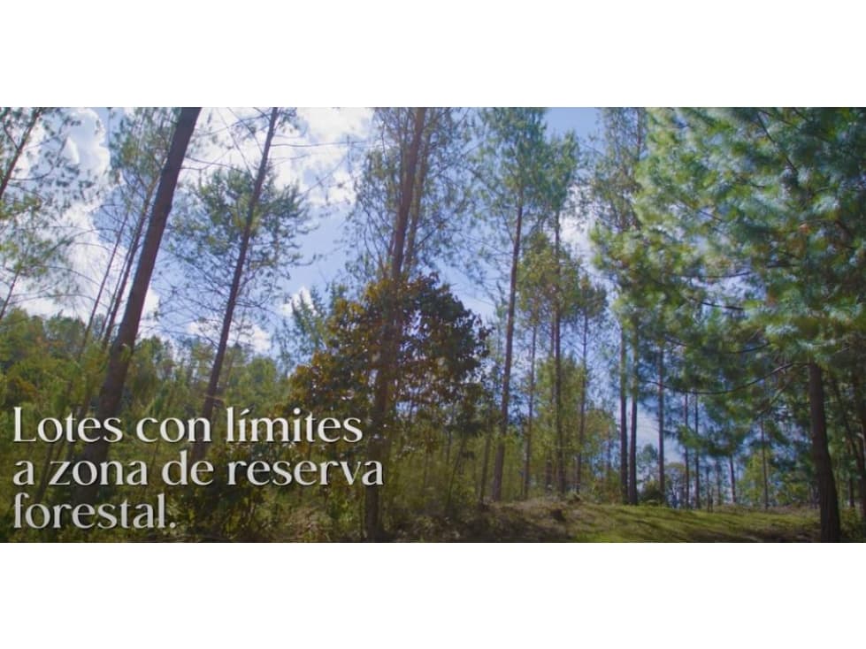 Venta de Lote Vía Don Diego - La Ceja — foto 5