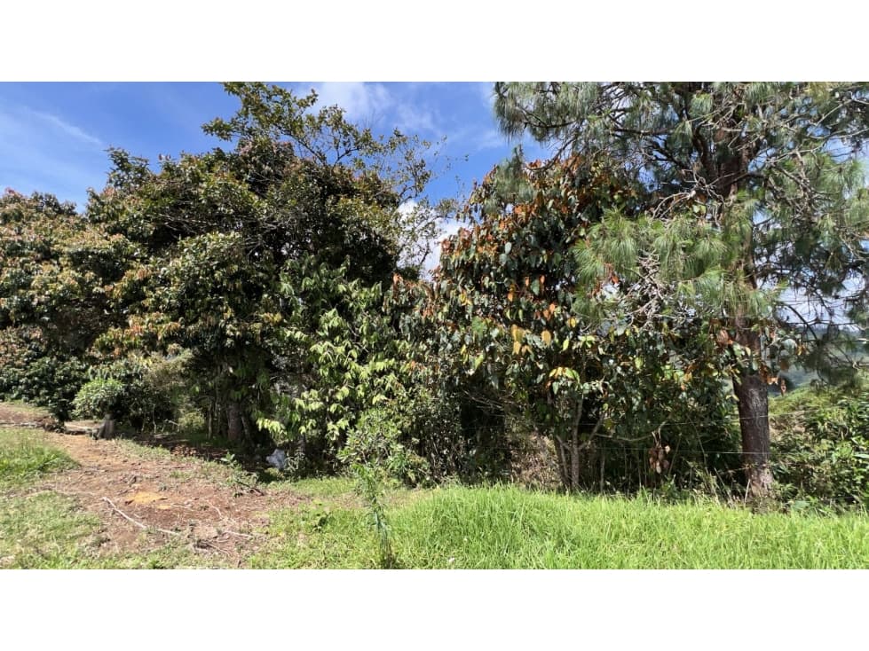 Lote en venta, sector La Guija El Retiro — foto 5