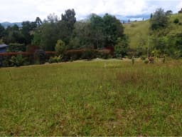 VENTA DE LOTE EN EL SECTOR PANTANILLO- SECTOR EL RETIRO