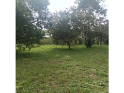 Exclusivos Lotes en Rionegro, Lotes Únicos en Vilachuaga en venta.