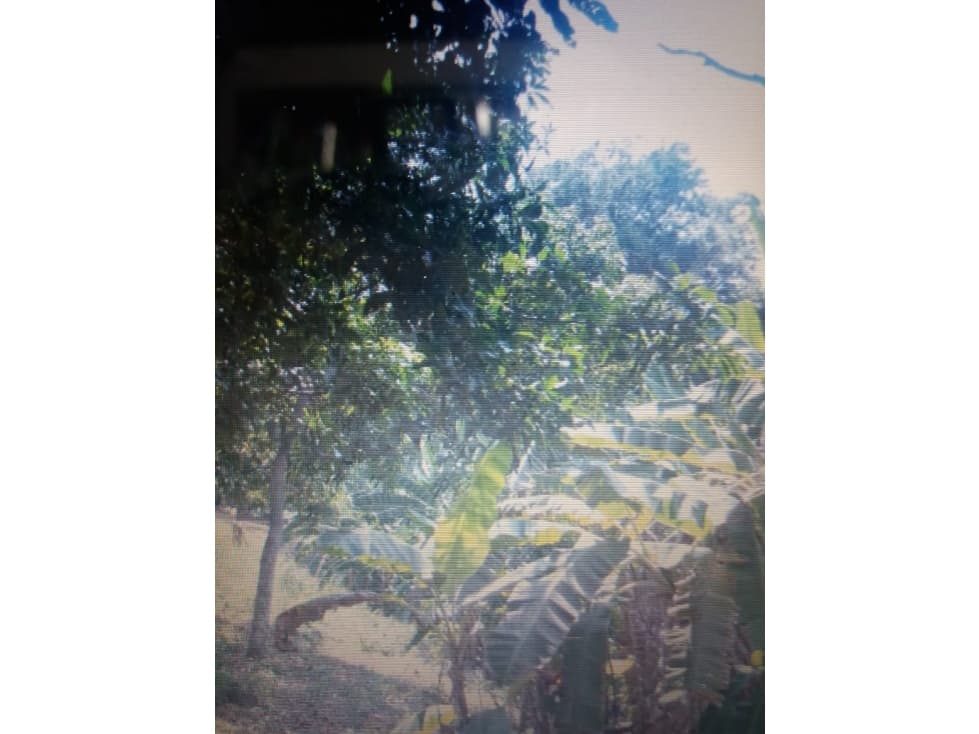 Cartagena Venta Lote Mamonal — foto 1