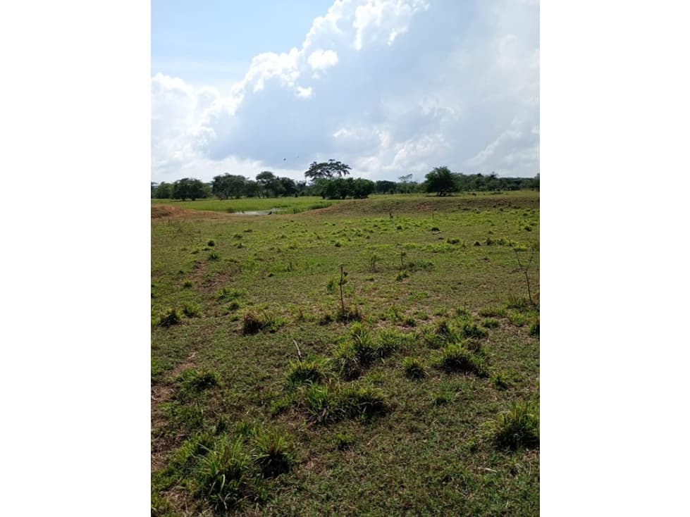 LOTE EN VENTA, ARJONA - CARTAGENA — foto 3