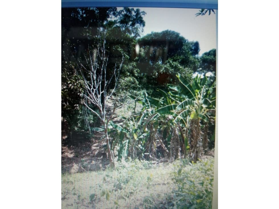 Cartagena Venta Lote Mamonal — foto 2