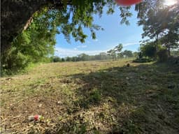 VENDE LOTE DE 5000 METROS VIA LOS PERICOS, EN MONTERIA CORDOBA
