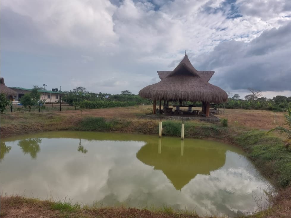 HERMOSO LOTE CAMPESTRE EN VENTA VIA A GUATEQUE — foto 5