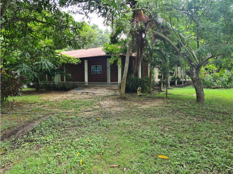 LOTE - CASA FINCA EN BAYUNCA — foto 5