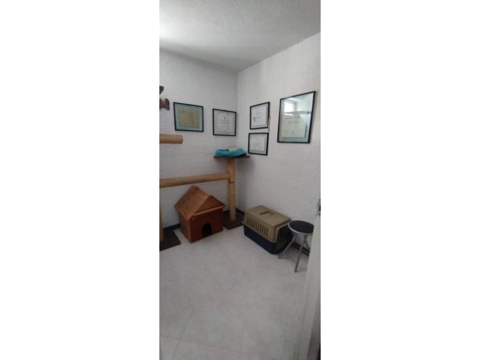 APARTAMENTO LOS COLORES CERCA REST. ICOMER — foto 2