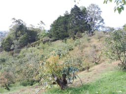 ENCANTADORA FINCA EN VENTA GUARNE PARA PROYECTO PARCELACIÓN