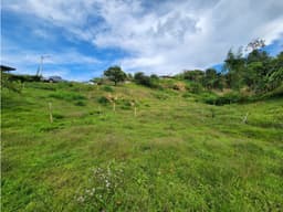 LINDOS LOTES EN VENTA RIONEGRO