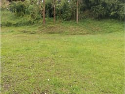 ENCANTADOR LOTE EN VENTA RIONEGRO