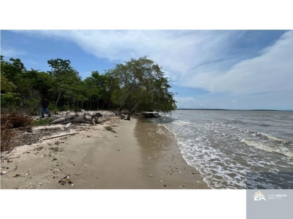 HERMOSO LOTE DE PLAYA EN VENTA BARBACOA ISLA BARU — foto 1