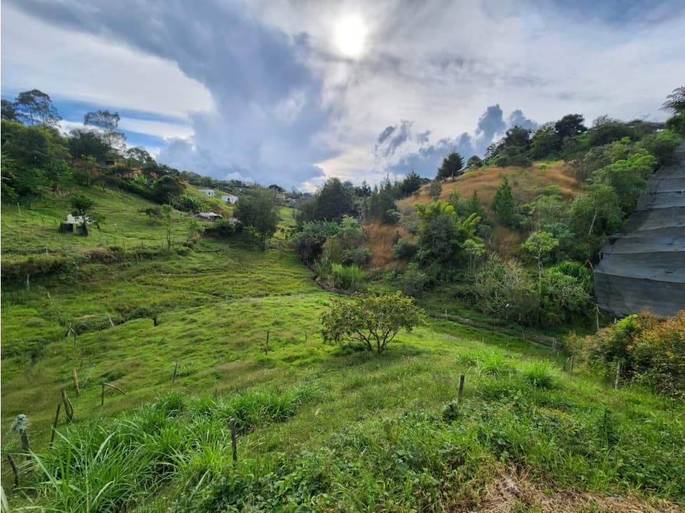LINDOS LOTES EN VENTA RIONEGRO — foto 2