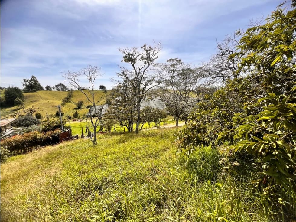 HERMOSO LOTE DE OPORTUNIDAD EN VENTA — foto 3