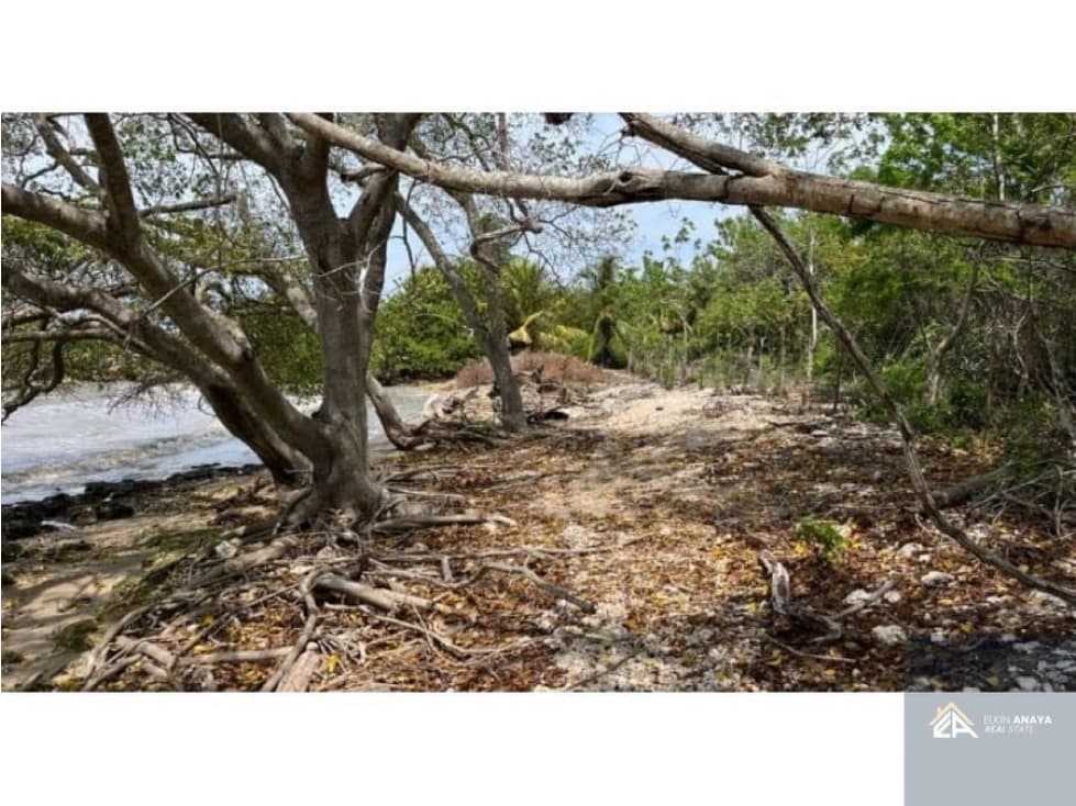 HERMOSO LOTE DE PLAYA EN VENTA BARBACOA ISLA BARU — foto 2