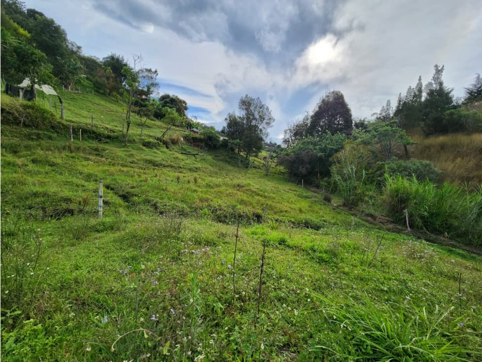 LINDOS LOTES EN VENTA RIONEGRO — foto 3