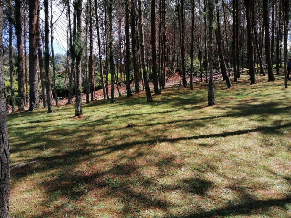 ESPECTACULAR FINCA EN VENTA GUARNE — foto 4