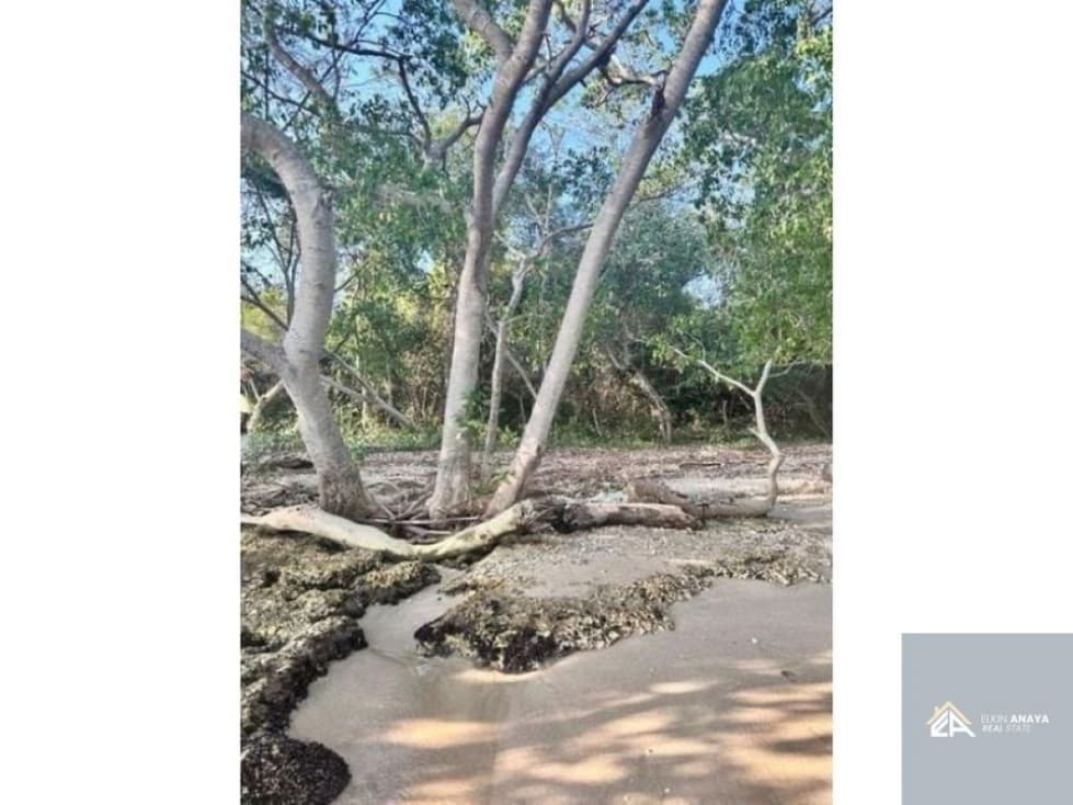 HERMOSO LOTE DE PLAYA EN VENTA BARBACOA ISLA BARU — foto 6