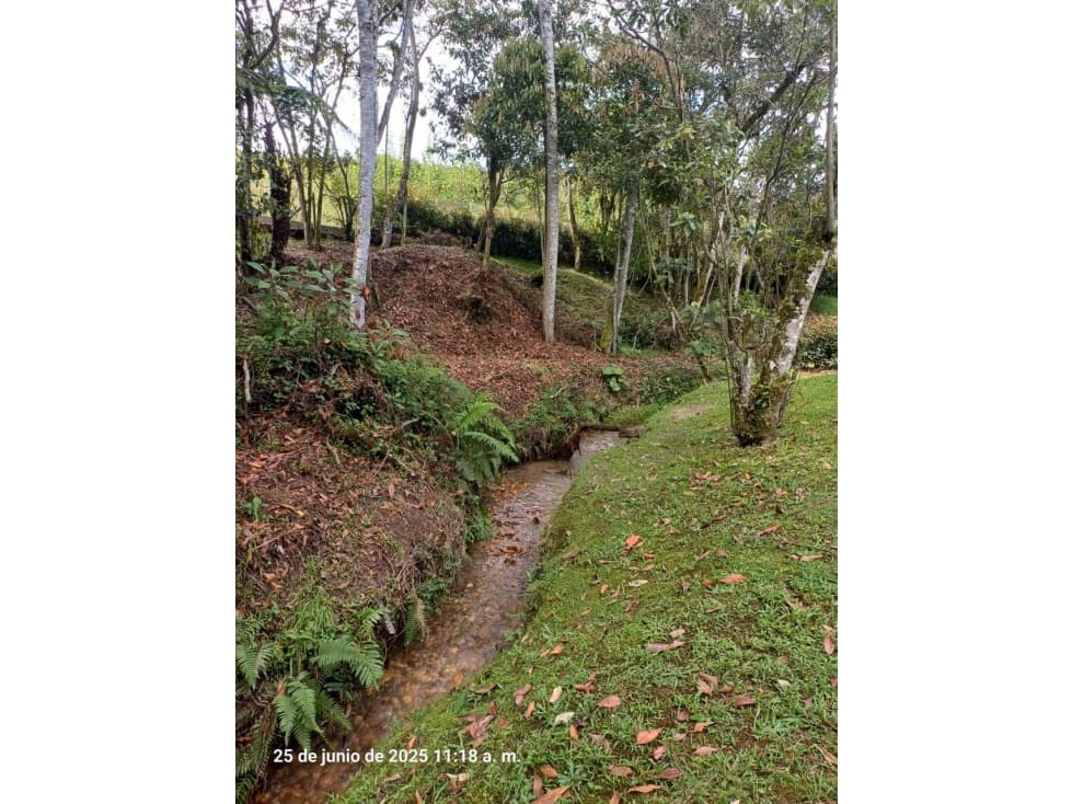 ENCANTADOR LOTE EN VENTA EL RETIRO — foto 6