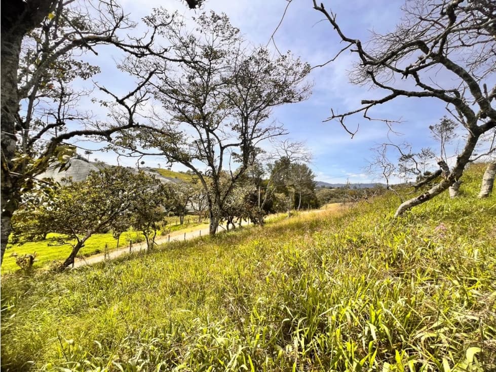 HERMOSO LOTE DE OPORTUNIDAD EN VENTA — foto 5
