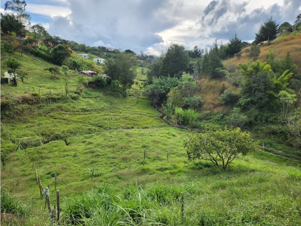 LINDOS LOTES EN VENTA RIONEGRO — foto 5