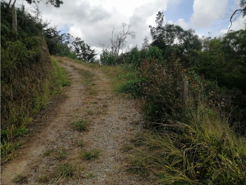 LINDO LOTE EN VENTA CERCA A LA AUTOPISTA — foto 6