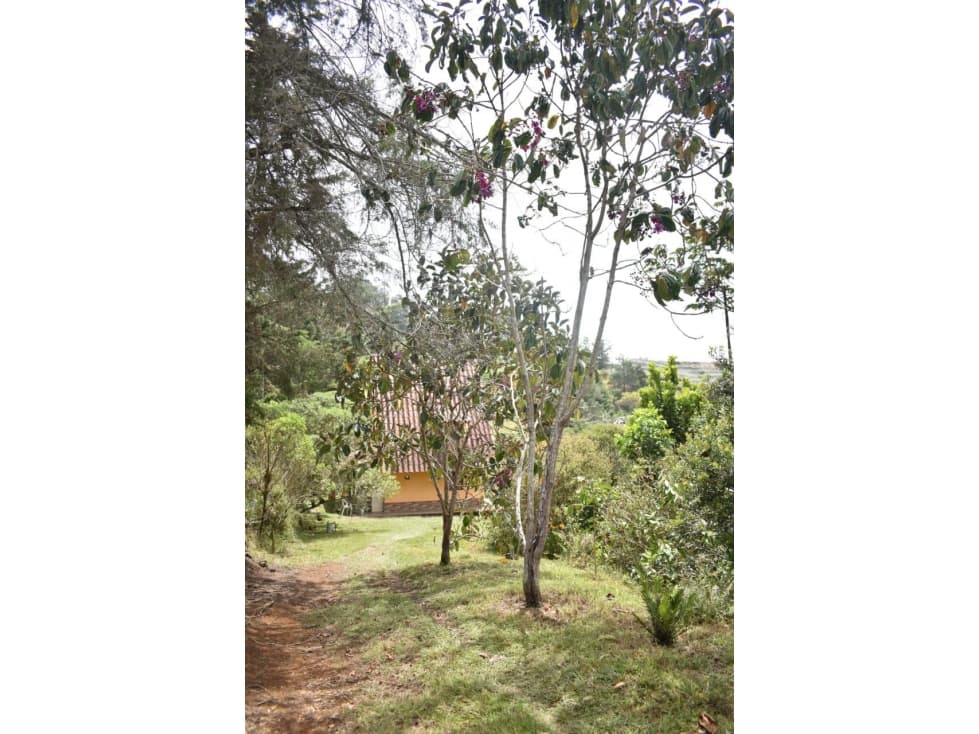 HERMOSO CHALET EN VENTA SAN VICENTE — foto 6