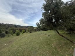 Lote para la venta en el alto de las Palmas