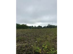 VENTA LOTES EN CONDOMINIO VÍA PEREIRA ARMENIA