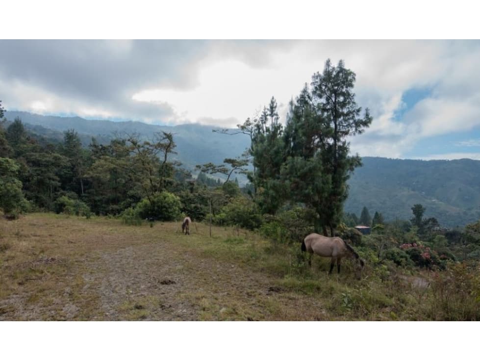 Vendo Lote en envigado la catedral — foto 2