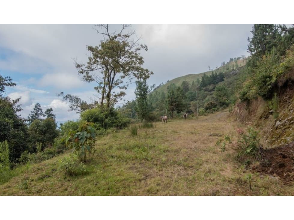 Vendo Lote en envigado la catedral — foto 1