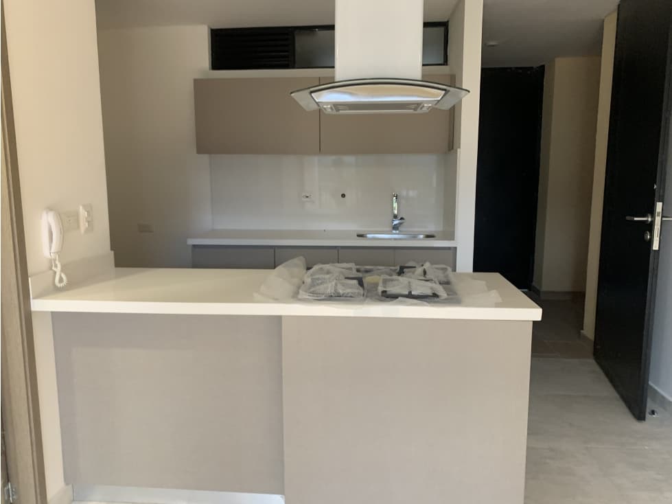 SE VENDE ESPECTACULAR APARTAMENTO EN LA AVENIDA CENTENARIO — foto 4