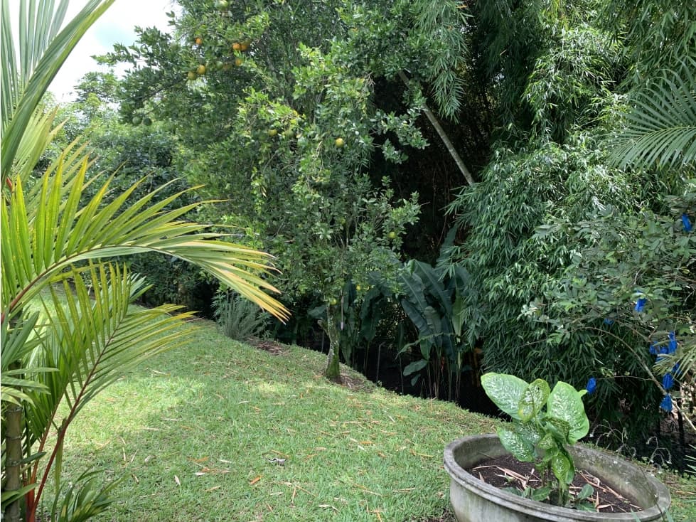 SE VENDE CASA CAMPESTRE CERCA AL CAIMO — foto 4