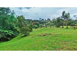 Vendo lote ondulado independiente, El Tablazo Vda La Oculta, Rionegro