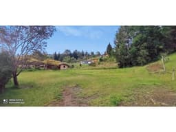 FINCA para la venta en Guarne, Vereda Los Molinos / La Mejía