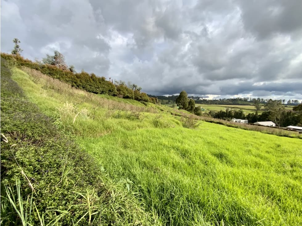 Venta Lote Parcelacion Alto Palmas Envigado — foto 4