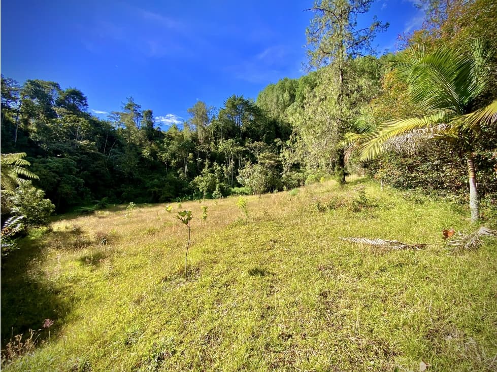 Venta Lote Parcelacion El Retiro — foto 1